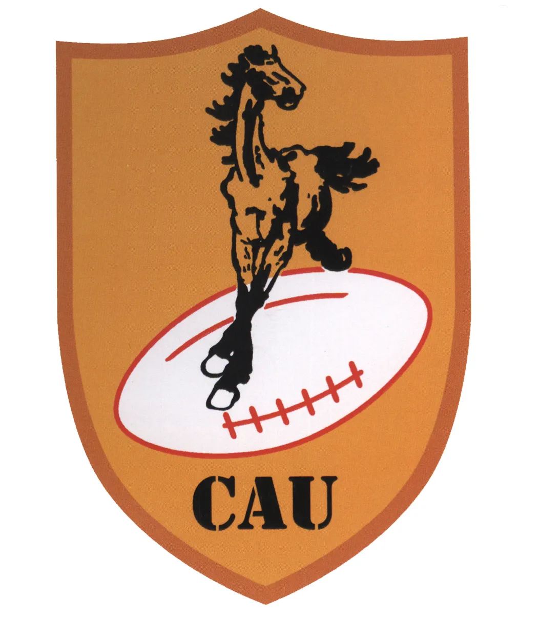 从第一支到最后一支：中国农大橄榄球队“不想说再见”