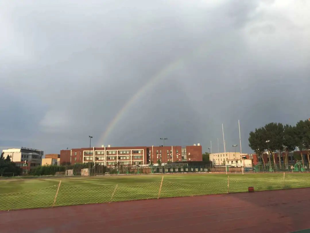 从第一支到最后一支：中国农大橄榄球队“不想说再见”