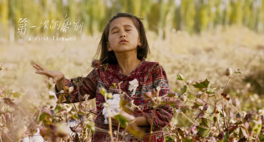 西安影院恢复营业,影院恢复营业第一批上映的影片