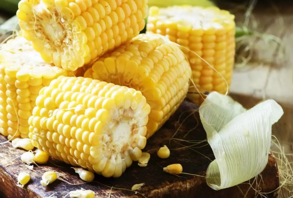 一穿就上瘾的*裤内**！清爽不闷汗，柔软有弹性，下身像风一样自由