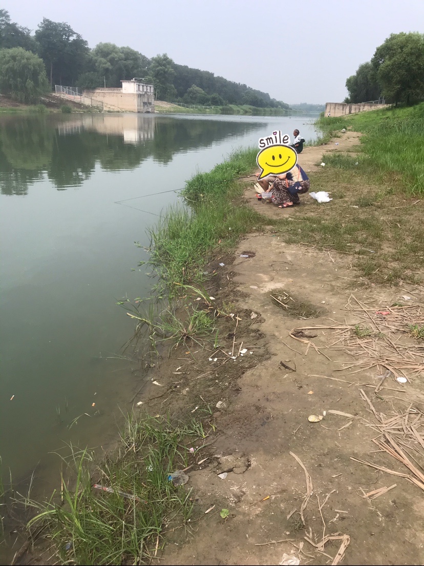 晨钓的收获还是不错的,温榆河钓鱼