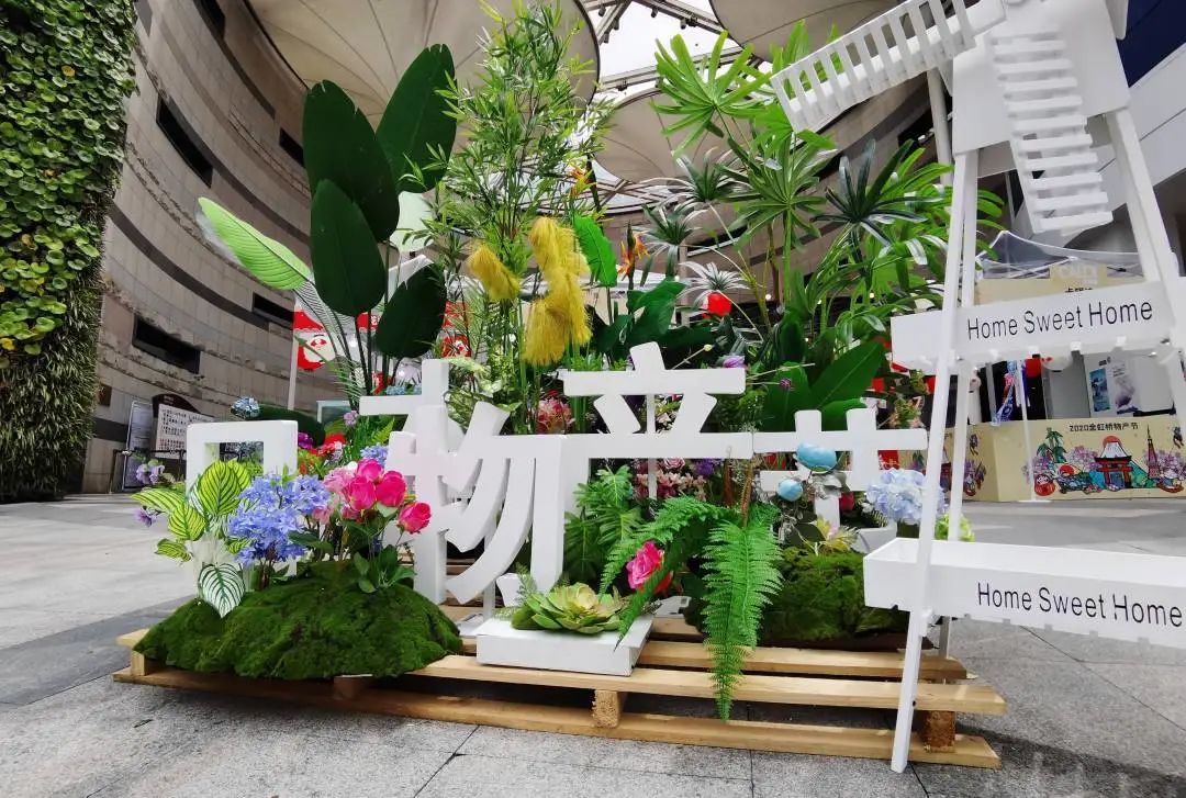 错过这几天就得等明年，“金虹桥”袭来异国风情！