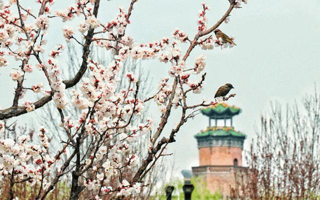平遥古城美食一条街位置,平遥古城美食图片介绍