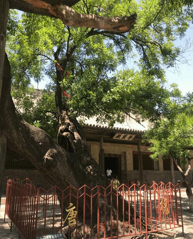 平遥古城美食一条街位置,平遥古城美食图片介绍