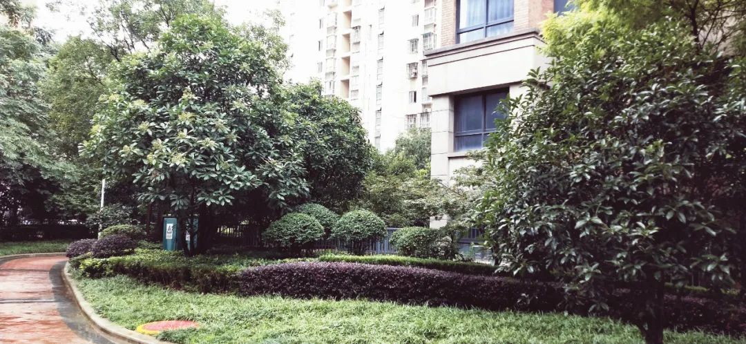 南京宝藏房子,南京的宝藏小区