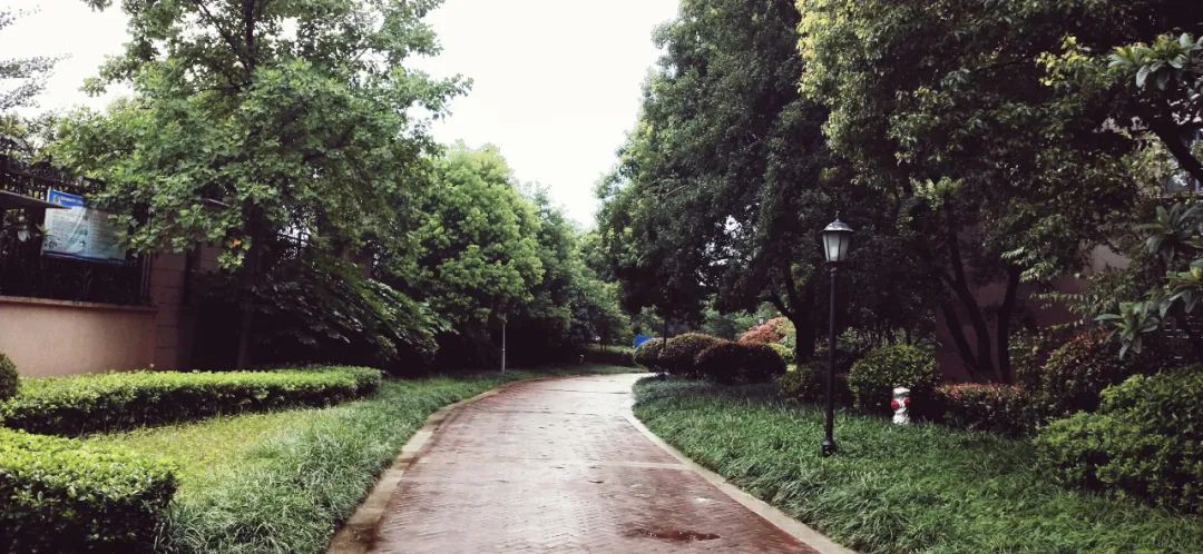 南京宝藏房子,南京的宝藏小区