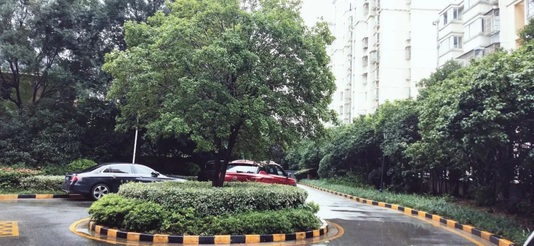 南京宝藏房子,南京的宝藏小区