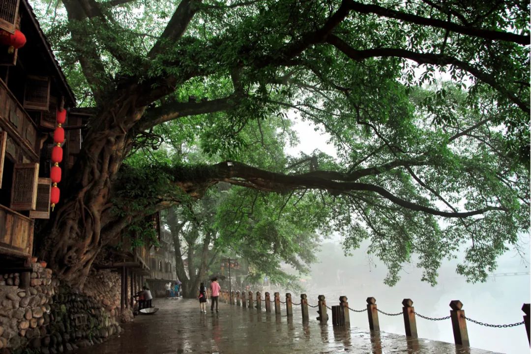 小众城市夏天避暑最佳旅游地,避暑小众城市