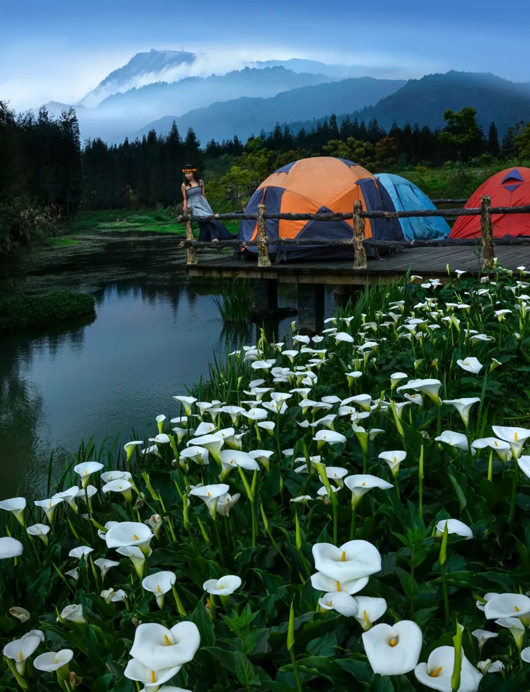 小众城市夏天避暑最佳旅游地,避暑小众城市