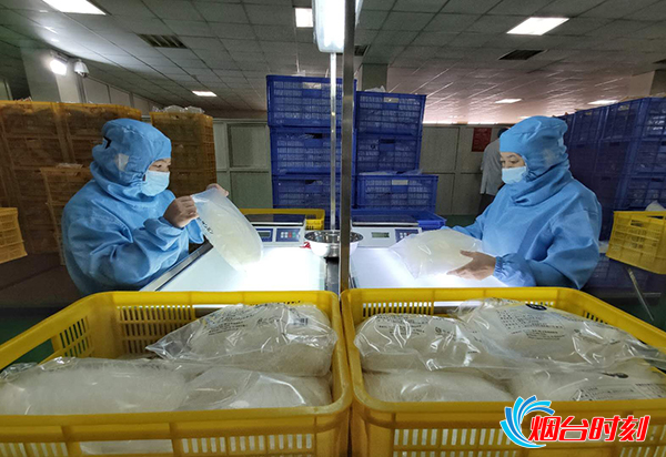 龙口粉丝传统制作技艺,百年老字号龙口粉丝