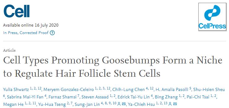 秃头少年有救了胎毛刘海,秃头少年竟然长出了头发