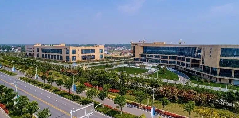 滨海经济发展趋势,滨海新区有哪些工业