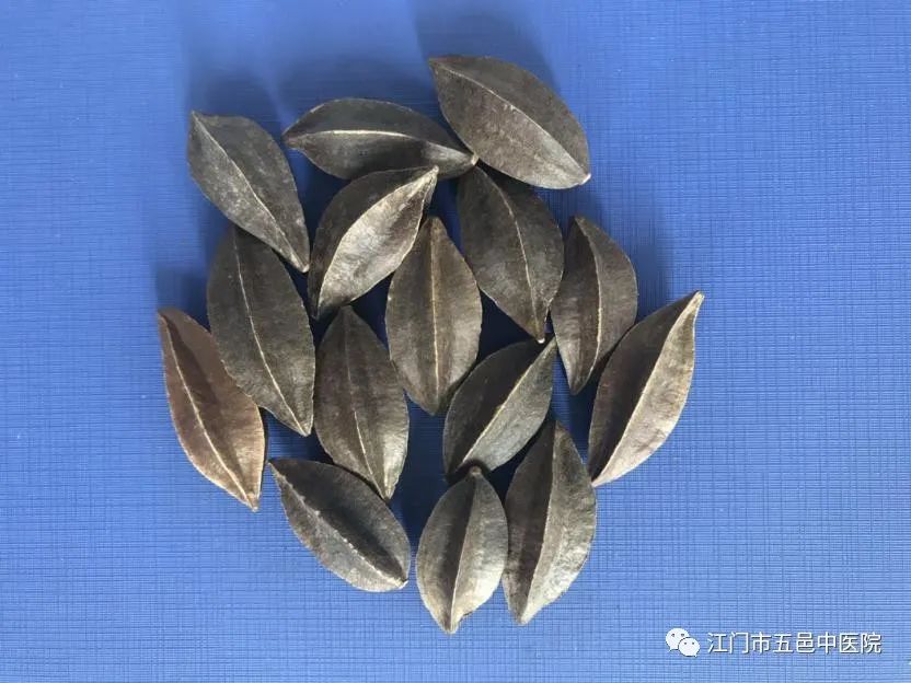 亦花亦药开脾胃，驱虫消积使君子