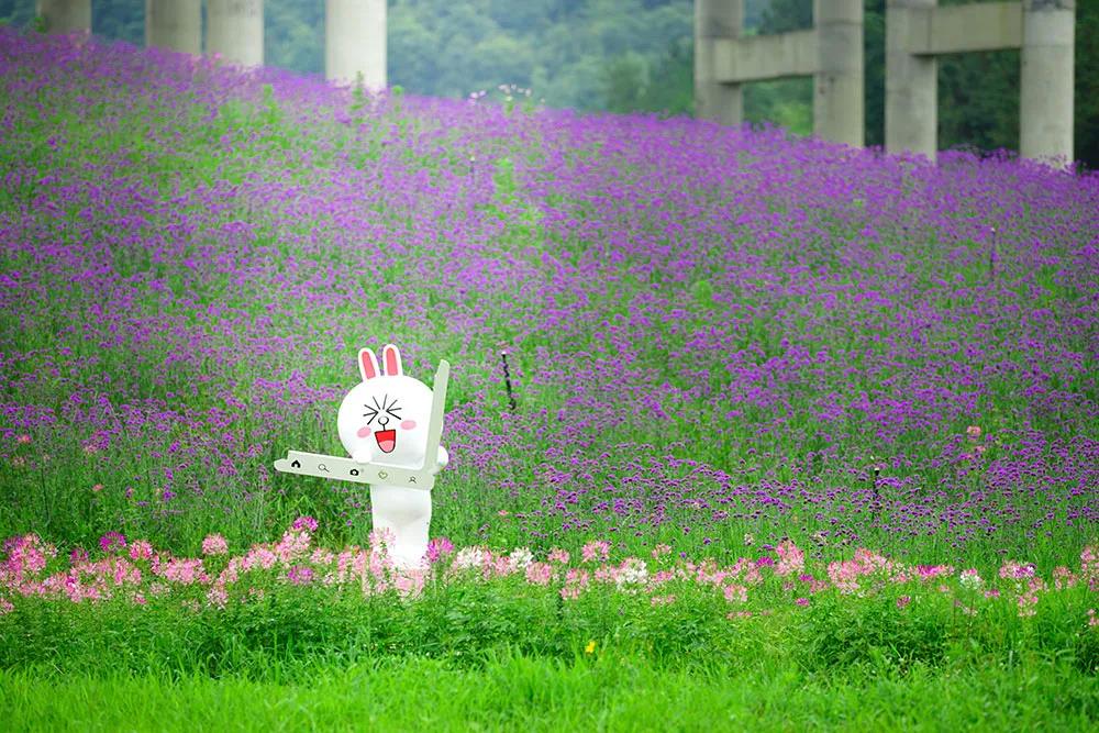 避暑旅游广西攻略路线,南丹白裤瑶民俗风情园门票预订