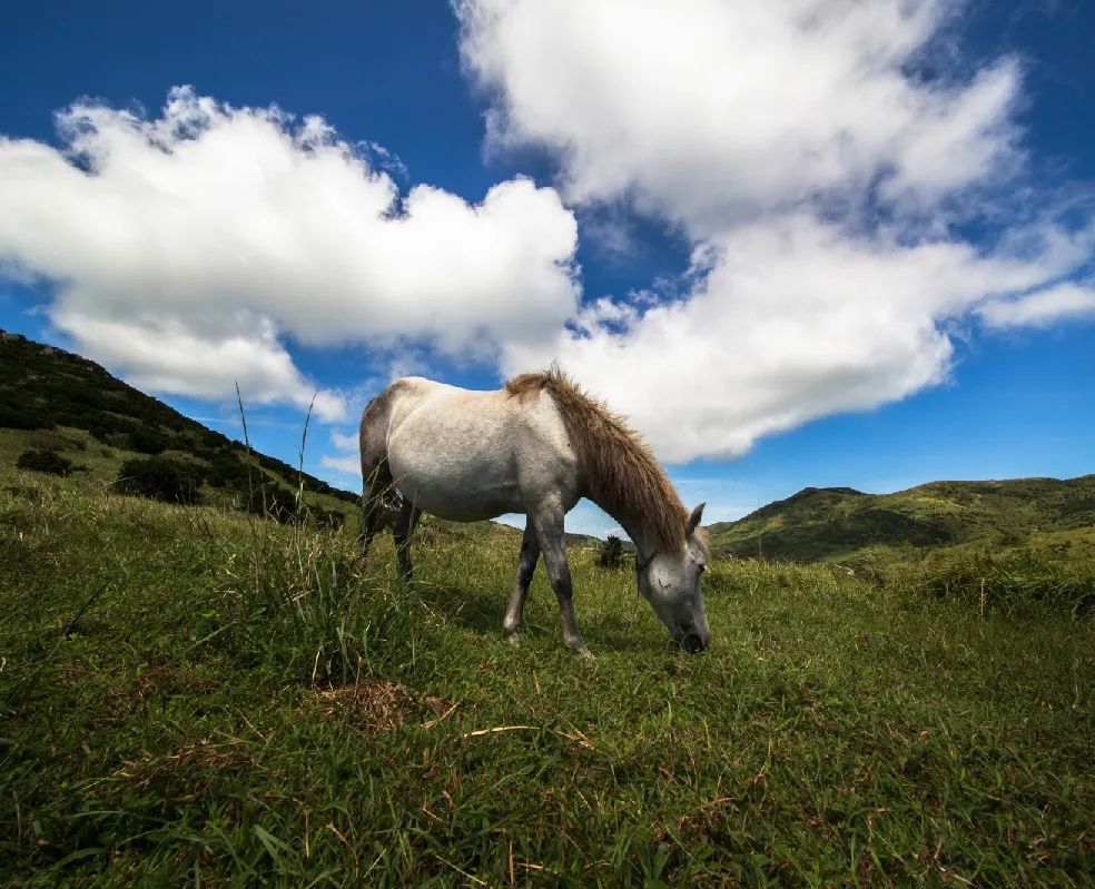 中国十大最美海岛旅游景点,国内十大最美海岛