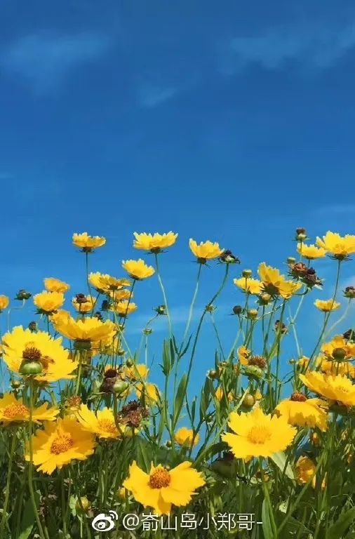 中国十大最美海岛旅游景点,国内十大最美海岛