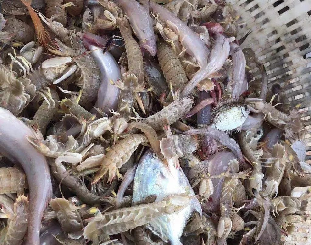 中国十大最美海岛旅游景点,国内十大最美海岛