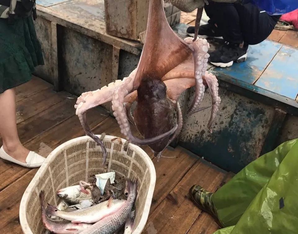 中国十大最美海岛旅游景点,国内十大最美海岛