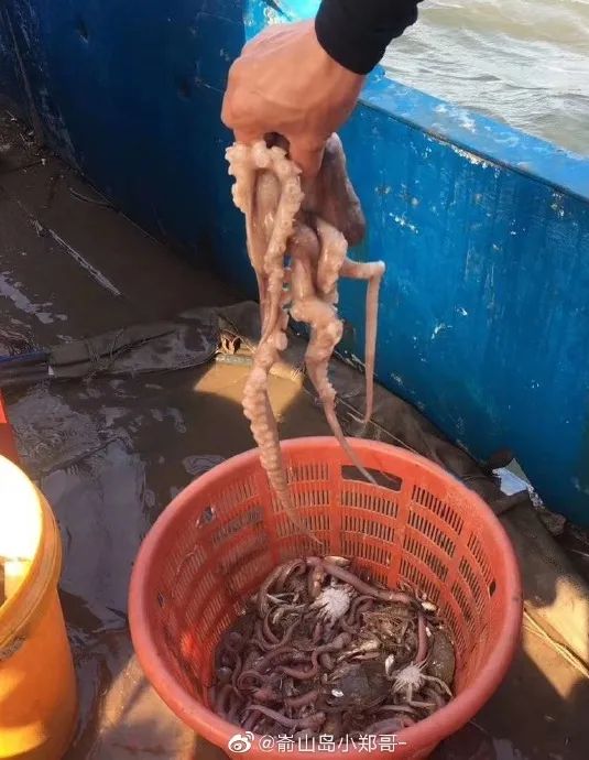 中国十大最美海岛旅游景点,国内十大最美海岛