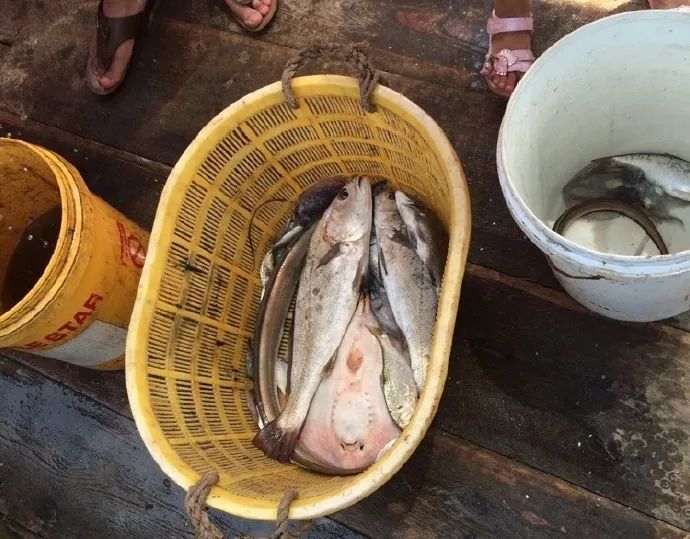 中国十大最美海岛旅游景点,国内十大最美海岛