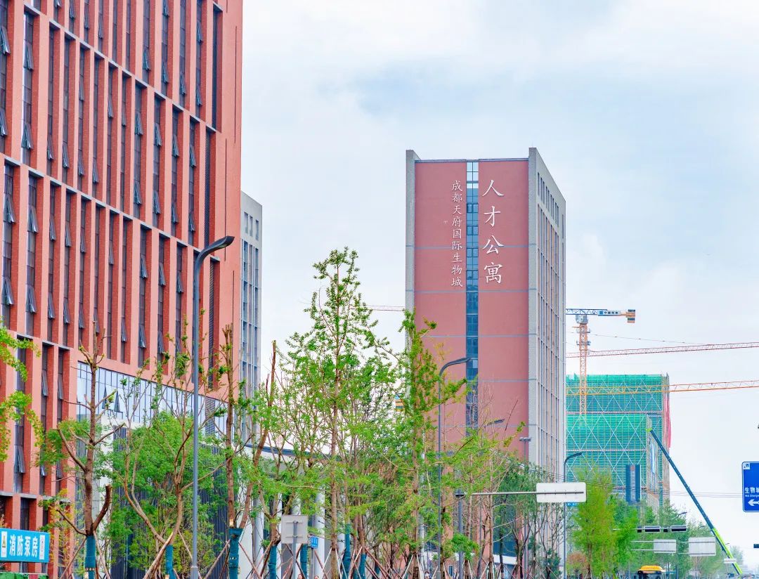 酒店式公寓拎包入住,包吃住酒店式公寓