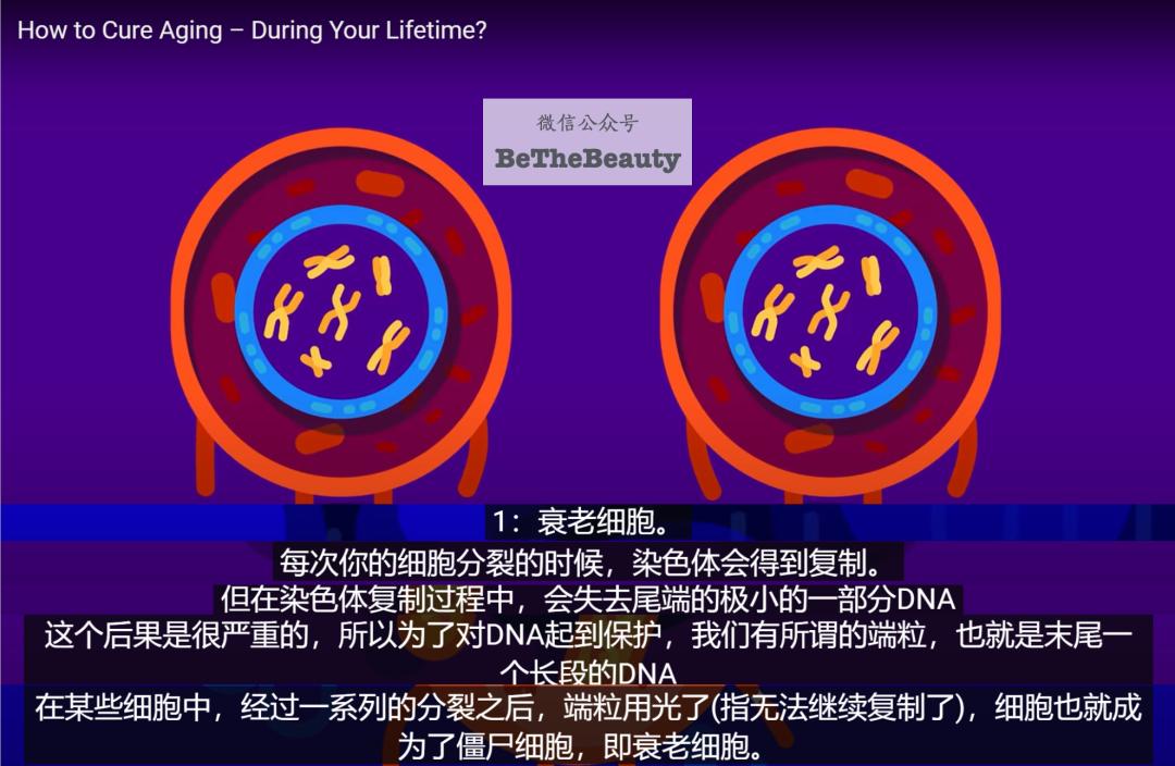 许晴vs钟丽缇：冻龄女神靠遗传还是靠努力？能学能用的超长待机法是？