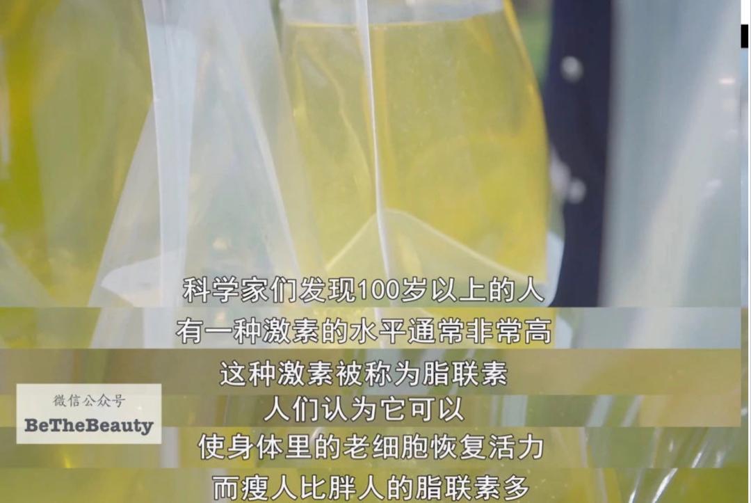 许晴vs钟丽缇：冻龄女神靠遗传还是靠努力？能学能用的超长待机法是？