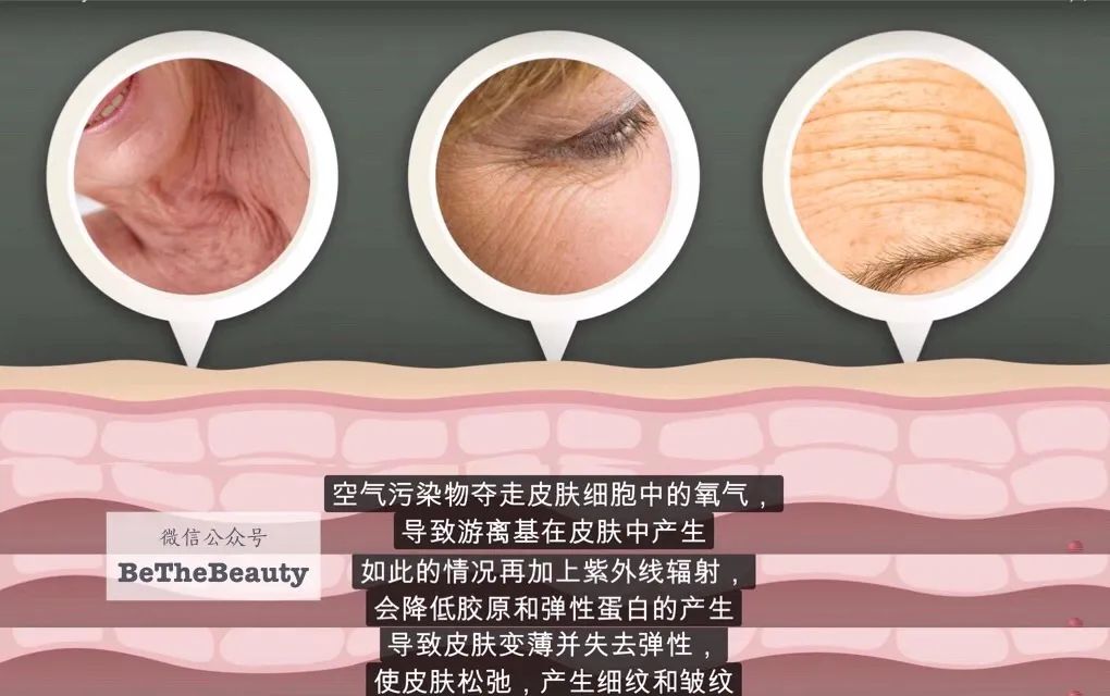 许晴vs钟丽缇：冻龄女神靠遗传还是靠努力？能学能用的超长待机法是？