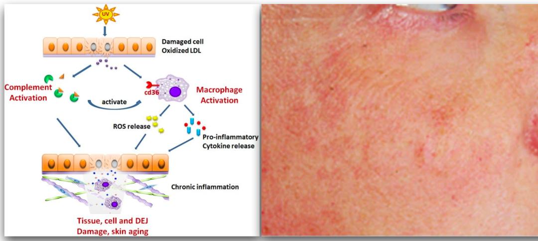 许晴vs钟丽缇：冻龄女神靠遗传还是靠努力？能学能用的超长待机法是？