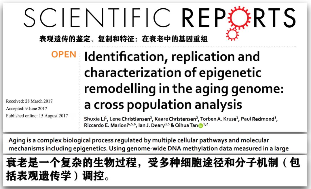许晴vs钟丽缇：冻龄女神靠遗传还是靠努力？能学能用的超长待机法是？