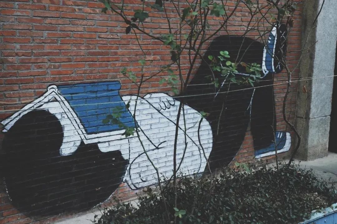 老旧厂房变身高大上创意产业园,老厂房的创意园