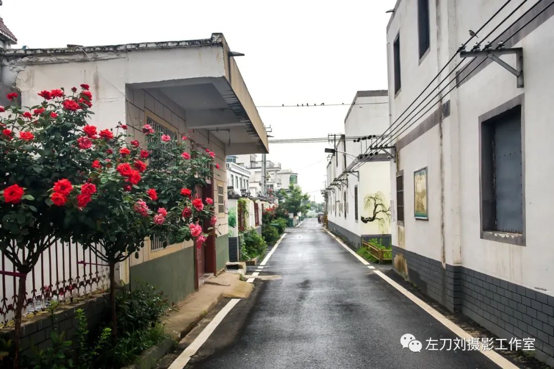 【图说】蓄洪后的庄台平静的生活