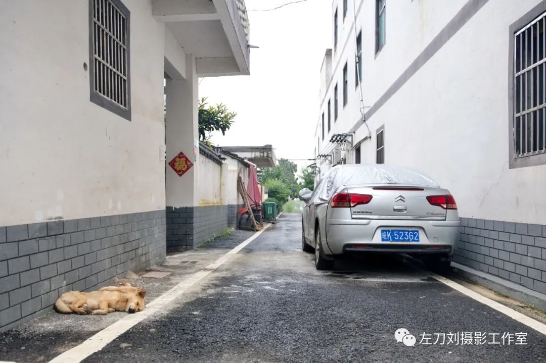 【图说】蓄洪后的庄台平静的生活