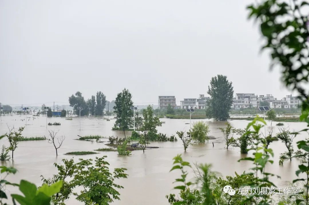 【图说】蓄洪后的庄台平静的生活