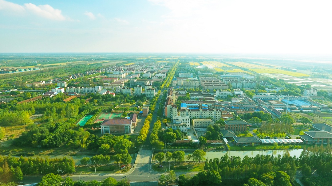 这个因“花博会”而即将腾飞的小镇，你了解吗？