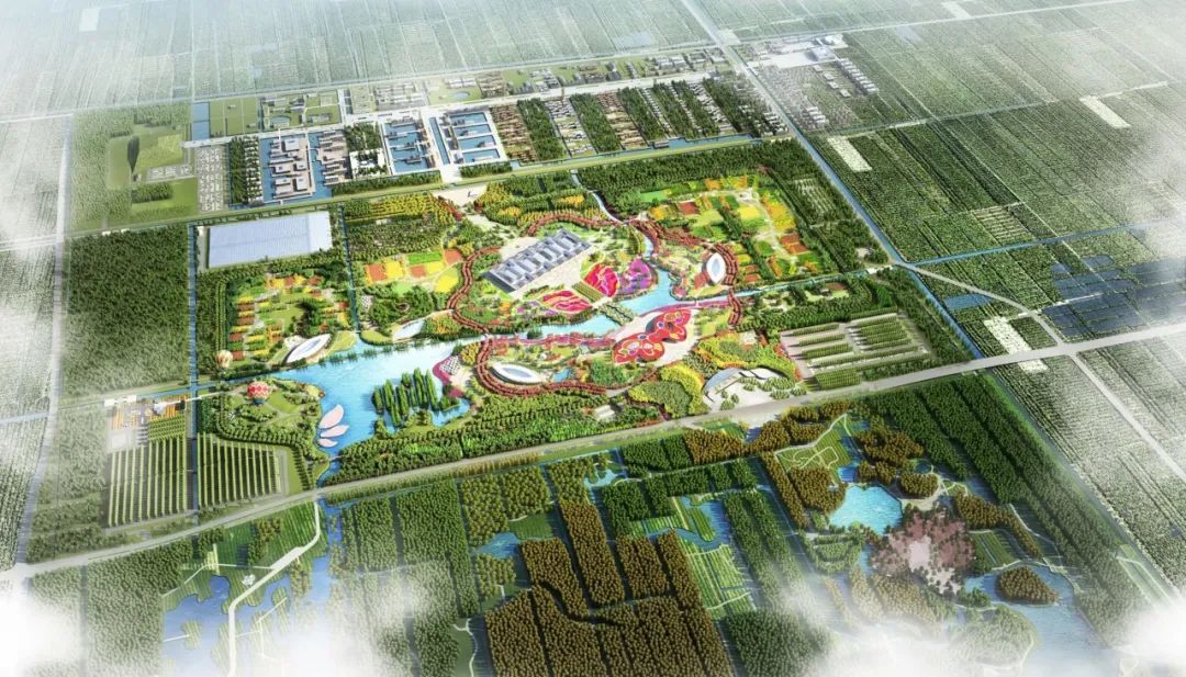 这个因“花博会”而即将腾飞的小镇，你了解吗？