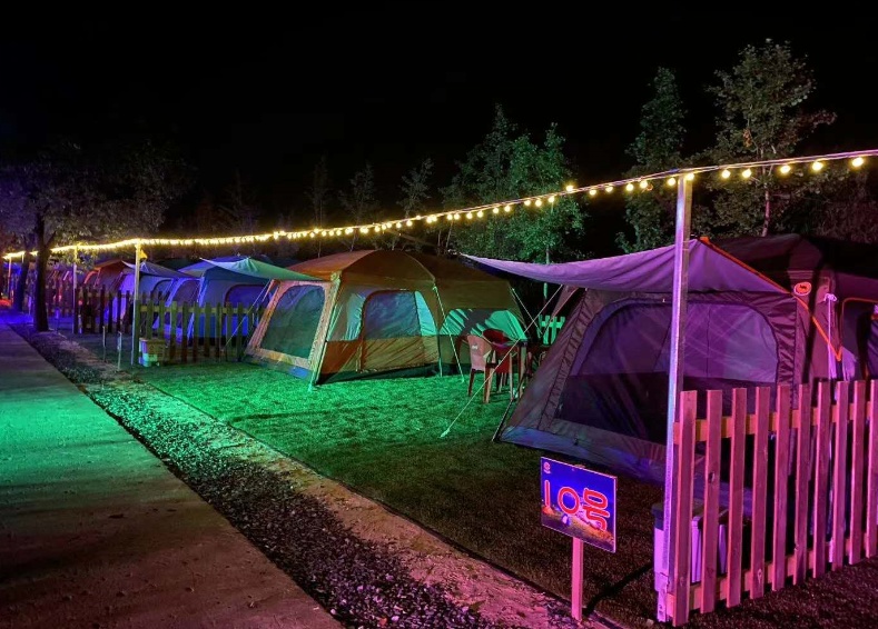 这个因“花博会”而即将腾飞的小镇，你了解吗？