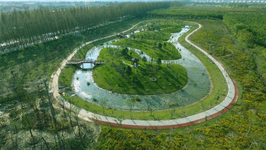 这个因“花博会”而即将腾飞的小镇，你了解吗？