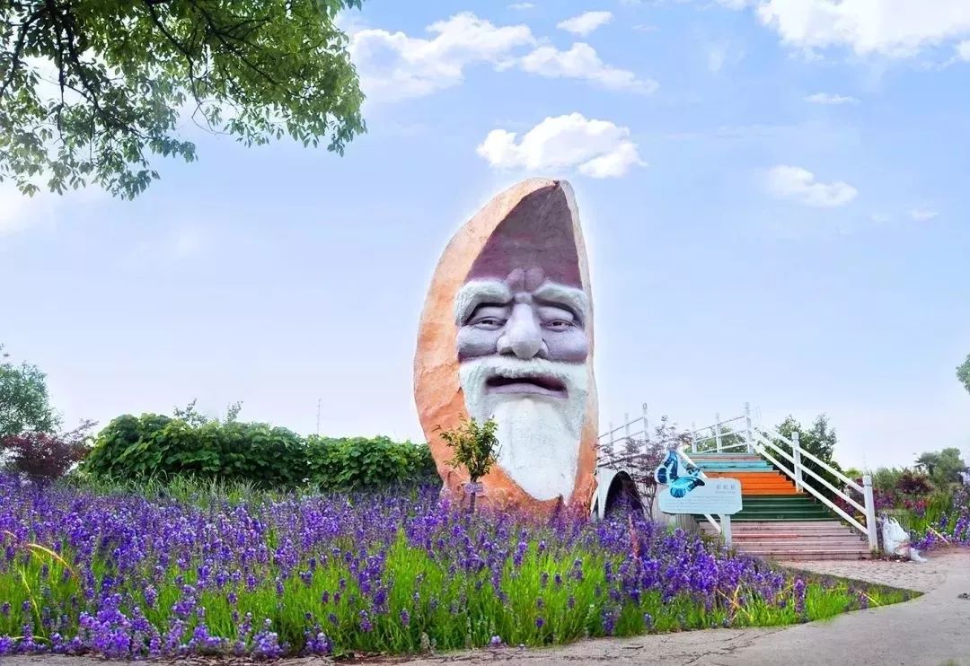 这个因“花博会”而即将腾飞的小镇，你了解吗？