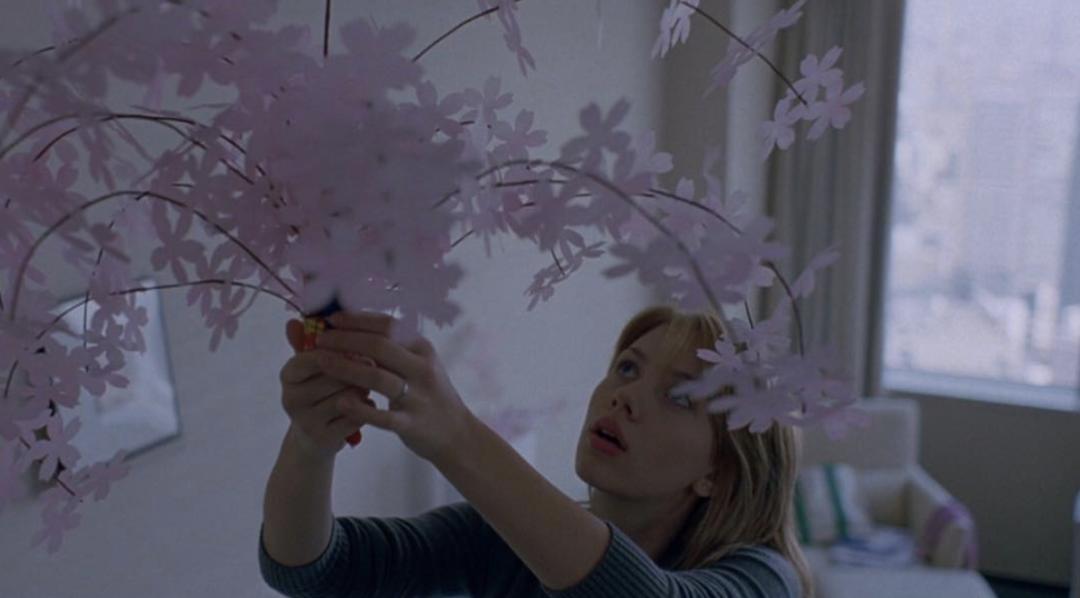 北京电影院开门了！这20部经典让心飞扬