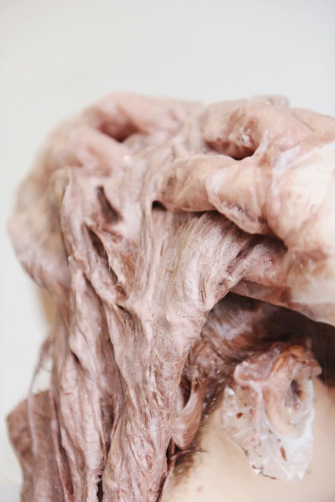 明星神仙颜值女,女明星的神仙颜值动图