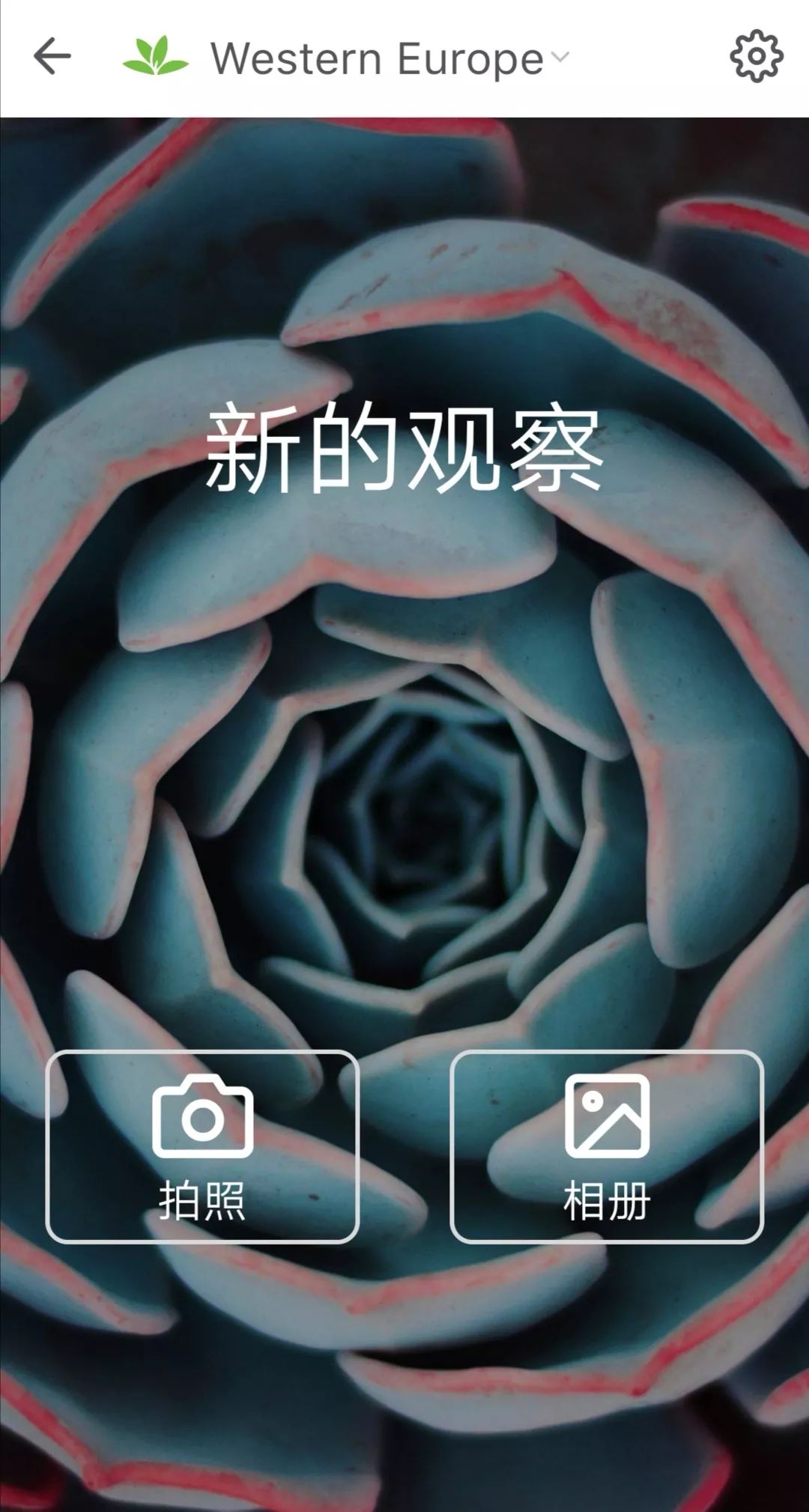 娉曞浗鐣欏鍜ㄨapp鎺ㄨ崘,娉曞浗鐣欏鑷鍏ラ棬app