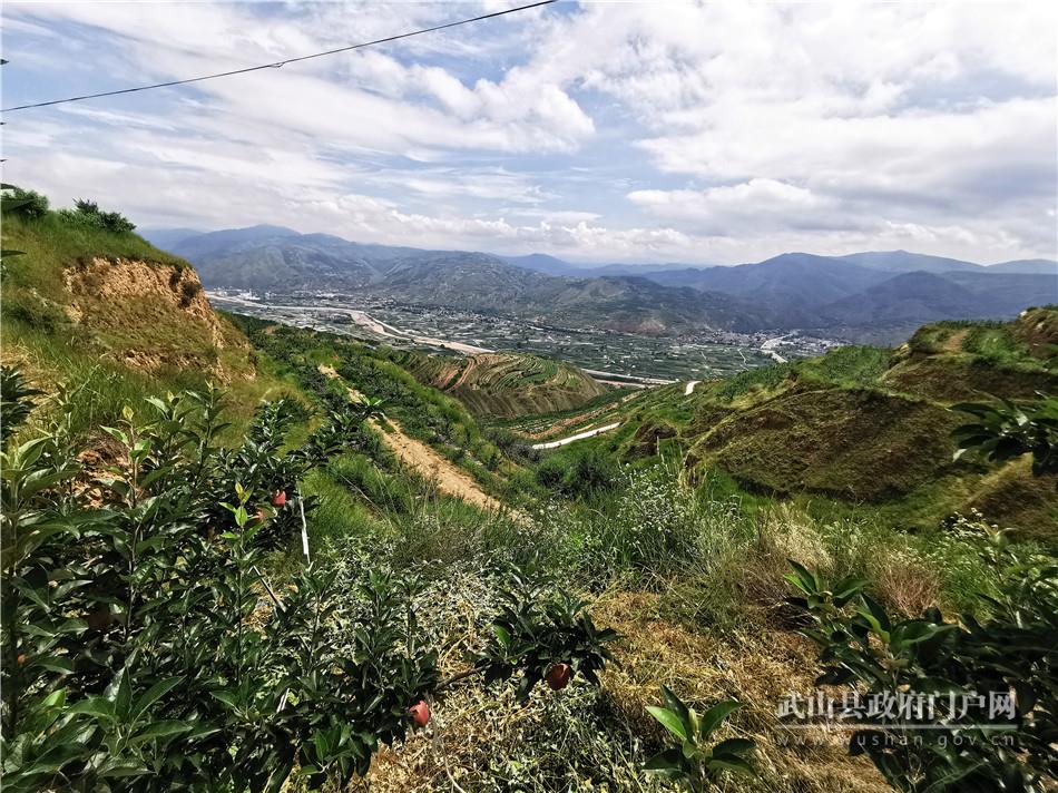 山丹搭建平台创业,武山县山丹供销综合服务社
