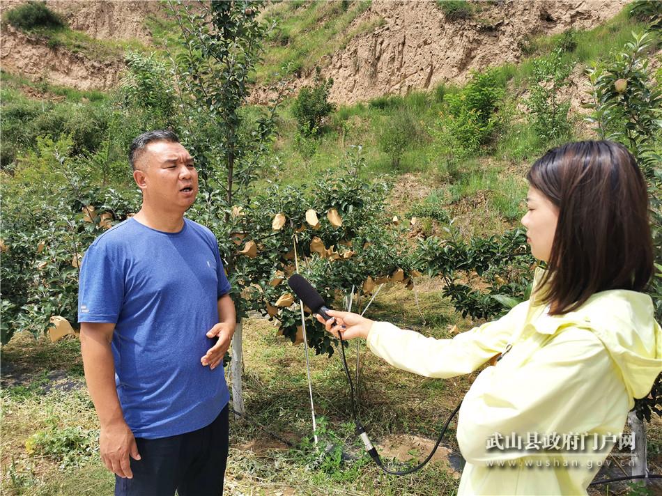 山丹搭建平台创业,武山县山丹供销综合服务社