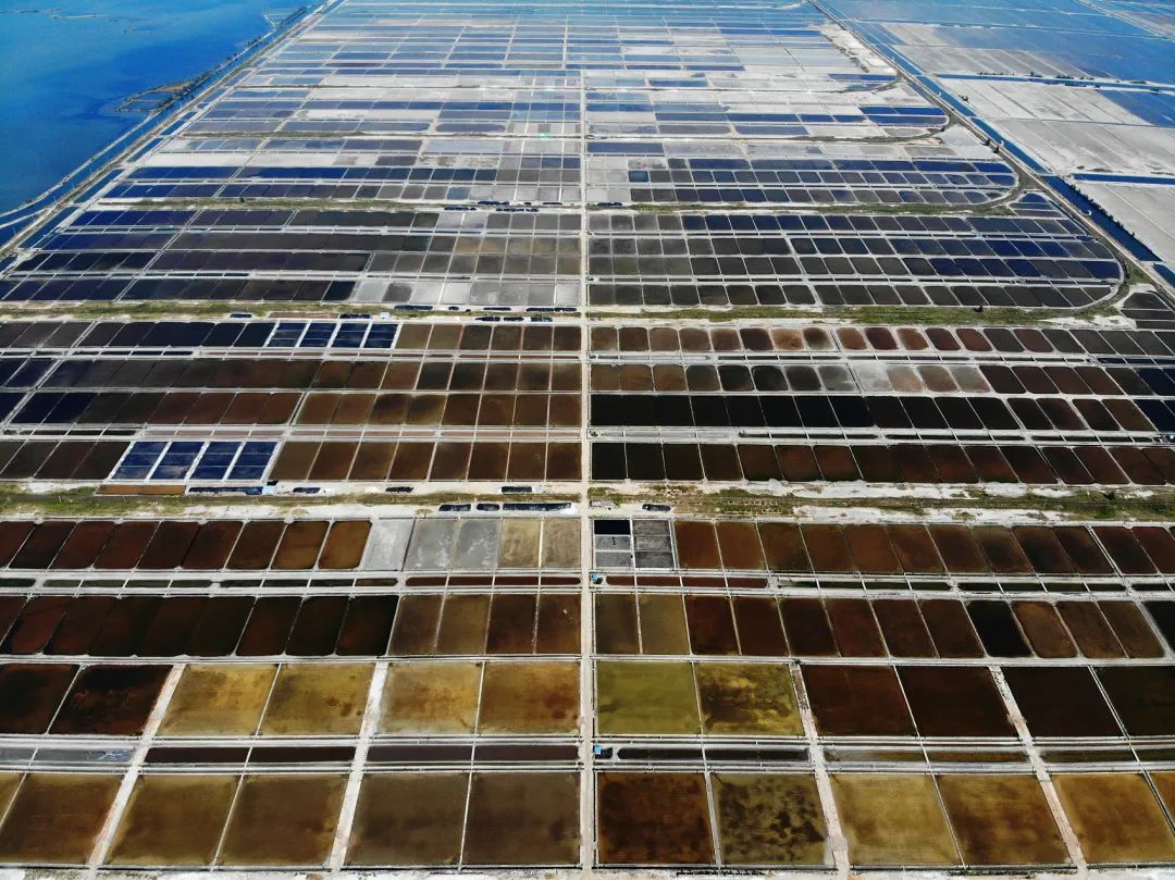 陕西省直辖县有哪些,目前全国真正的省直管县