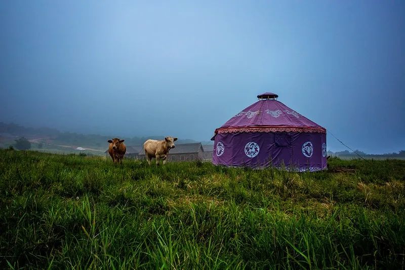 抓住假期尾巴附近景点打卡,抓住周末的小尾巴打卡网红地
