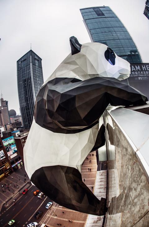 涓婃捣琛楁媿鍜屾垚閮借鎷嶇殑鍖哄埆,涓婃捣琛楁媿涓庢垚閮借鎷嶇殑鍖哄埆