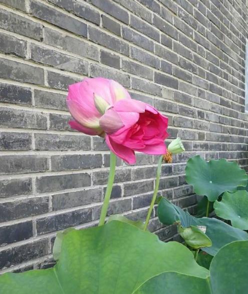 与前夫结婚前，失踪女子和许某某是男女朋友；大雨！暴雨！河南降雨时间地点定了丨大河早新闻（语音版）