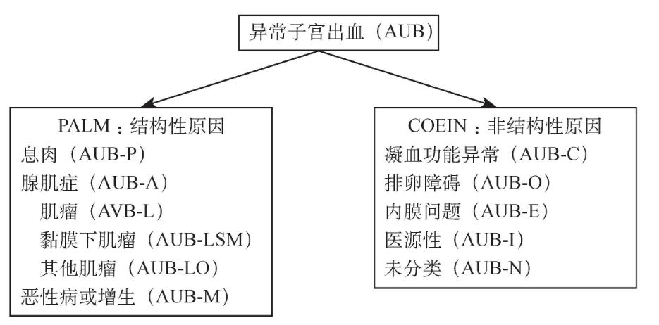 异常子宫出血诊治指南解读ppt,子宫异常出血最好的办法是刮宫吗