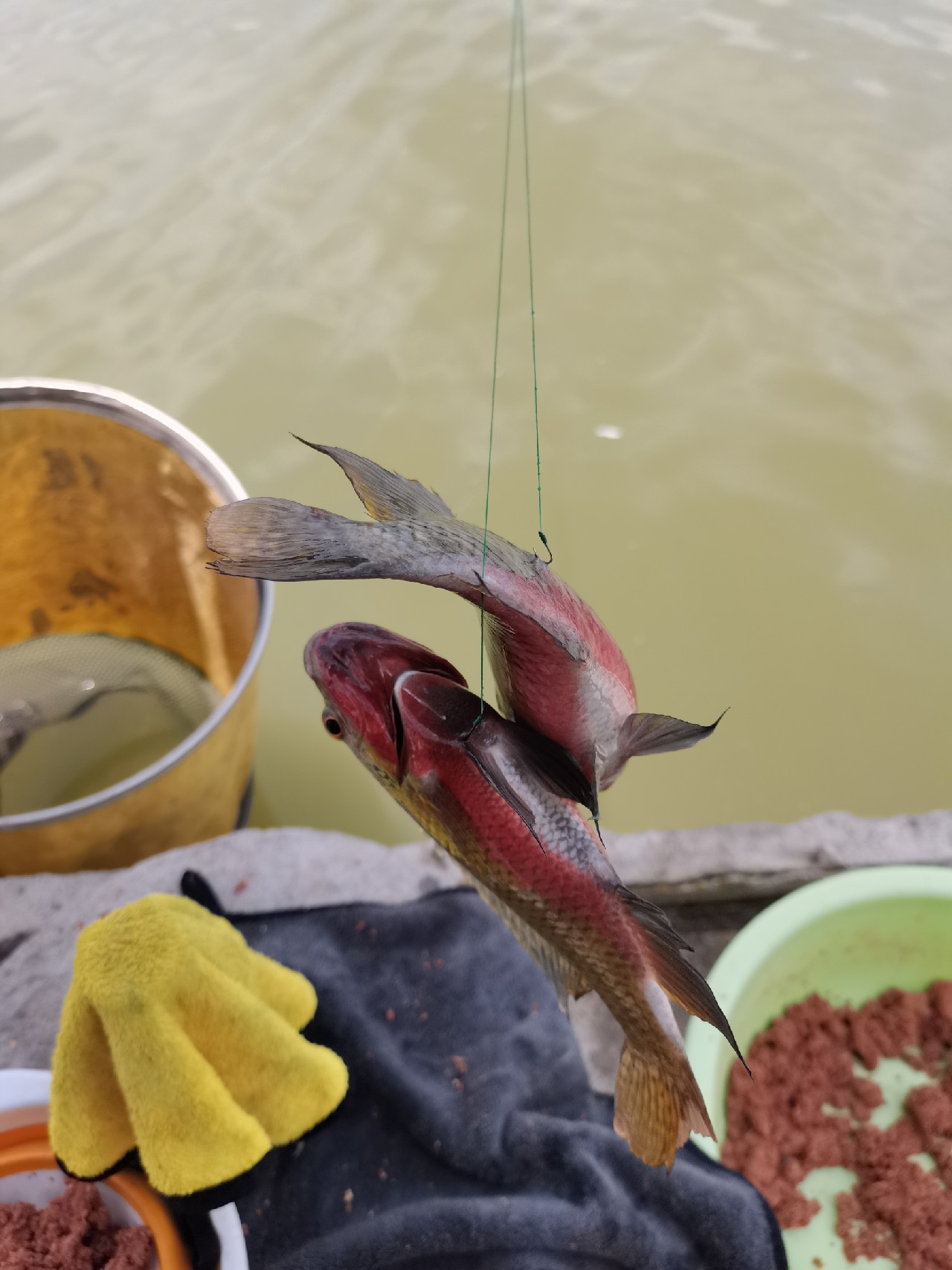 手持两米七神戟，瞎搞高田坑一天